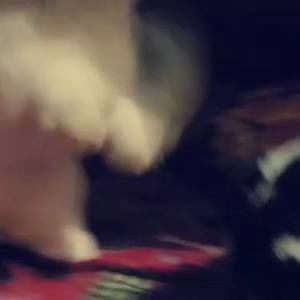 Meet your Posher, Ailaht